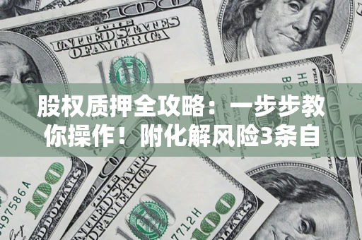济南股权质押全攻略：一步步教你操作！附化解风险3条自救法则