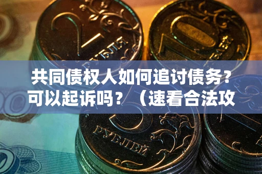 济南共同债权人如何追讨债务？可以起诉吗？（速看合法攻略）