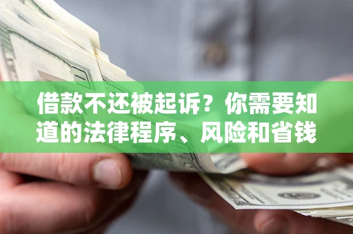 济南借款不还被起诉？你需要知道的法律程序、风险和省钱技巧