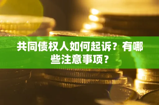 济南共同债权人如何起诉？有哪些注意事项？