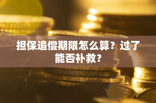 济南担保追偿期限怎么算？过了能否补救？